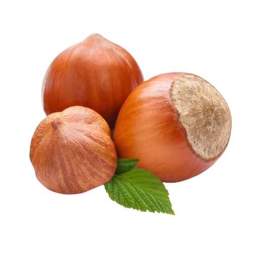 Toptan Fındık Kabuğu