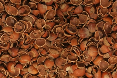 Besi çiftlikleri ve Besihaneler de  fındık kabuğu kullanımı