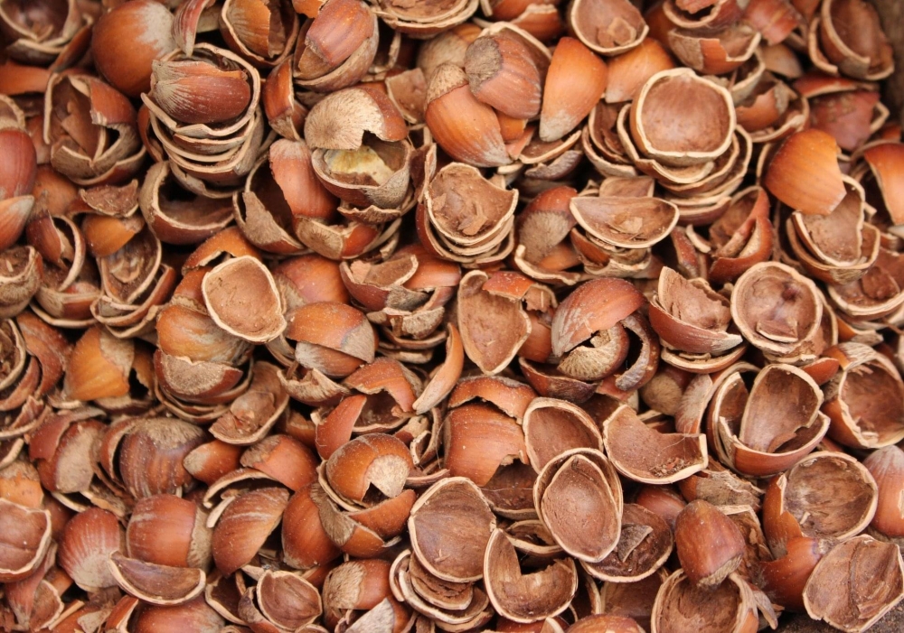 Ekmek Fırınlarında Fındık Kabuğu kullanımı