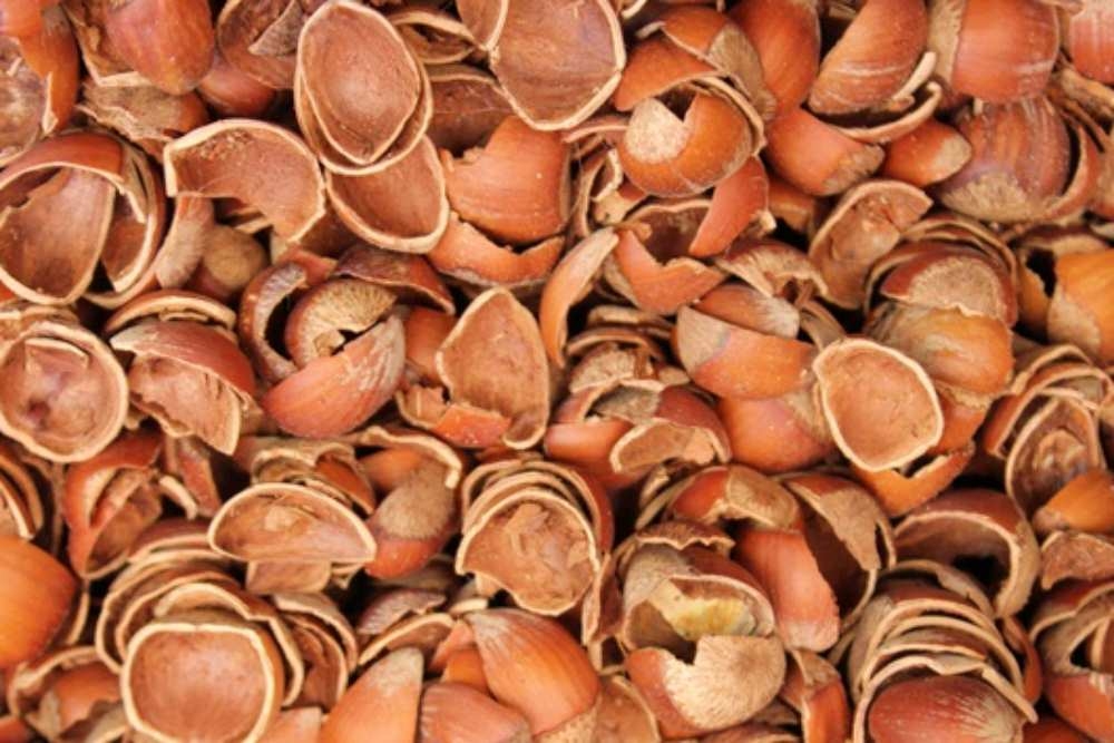 Kümesler de fındık kabuğu tüketimi