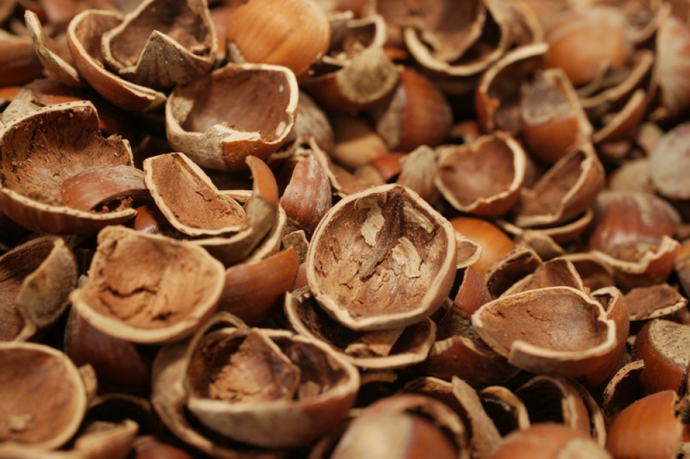 Sanayi Tesislerinde fındık kabuğu kullanımı