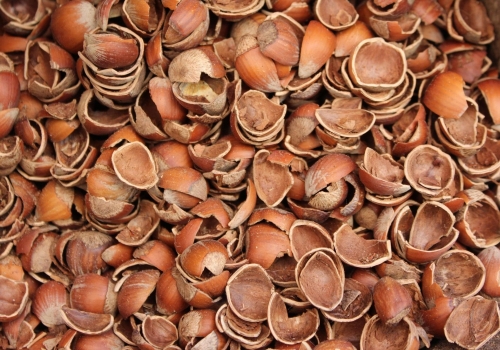 Ekmek Fırınları için Fındık Kabuğu